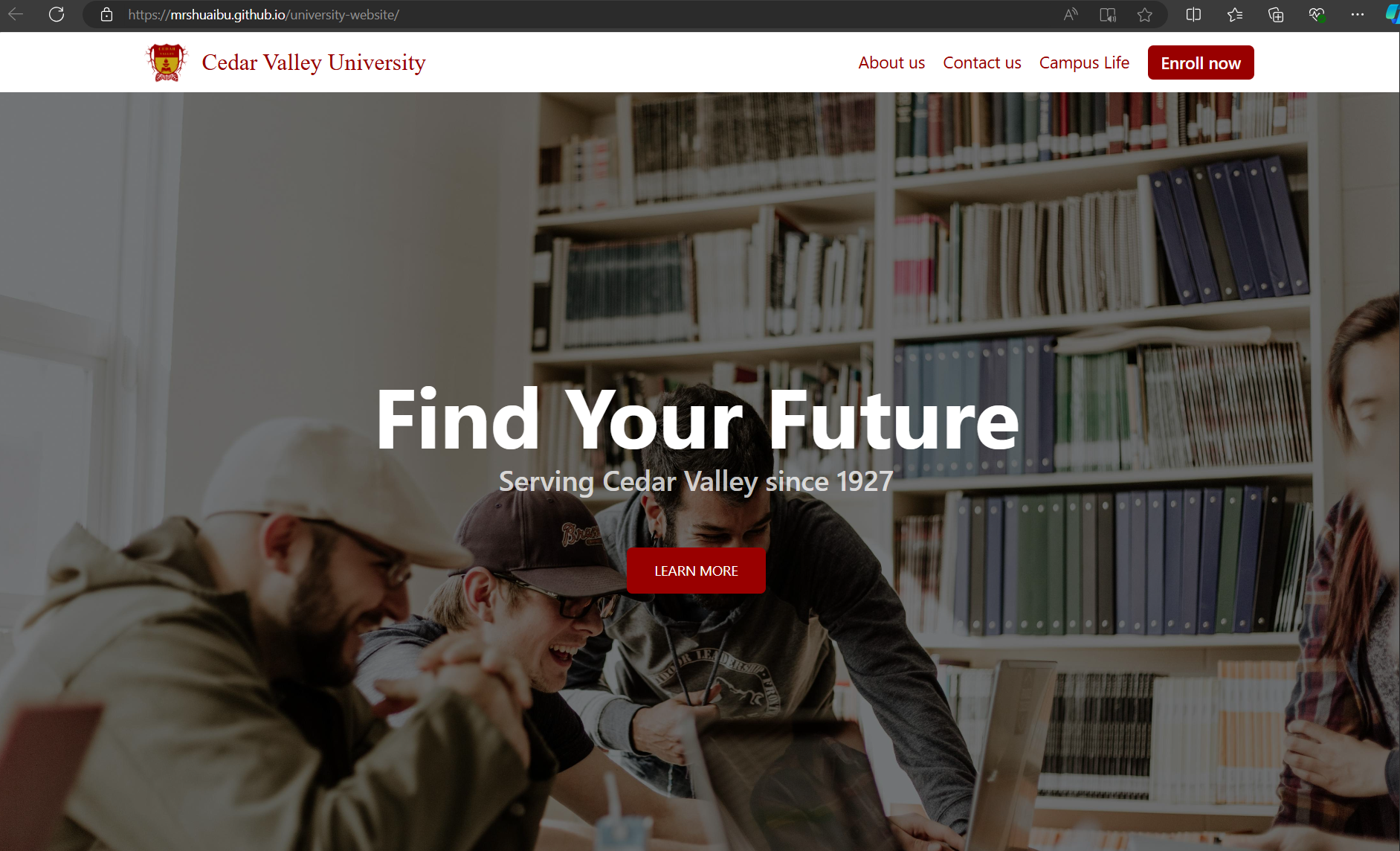 university project