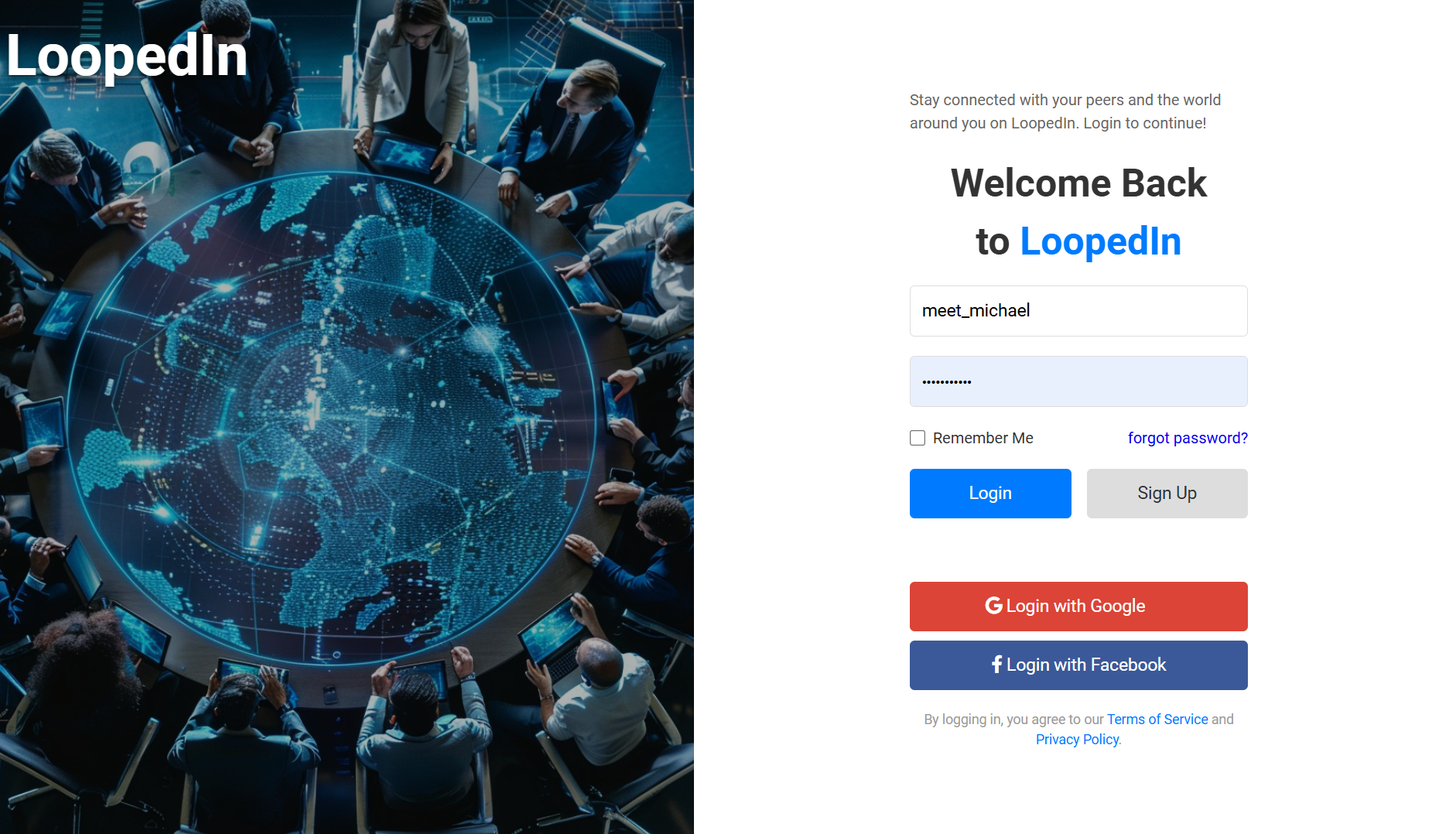 looped project